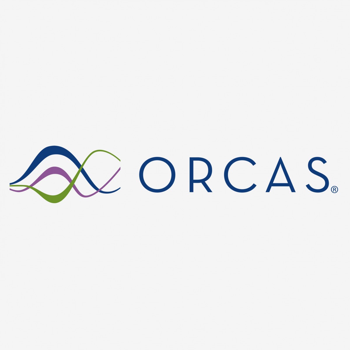 Orcas corporate identity