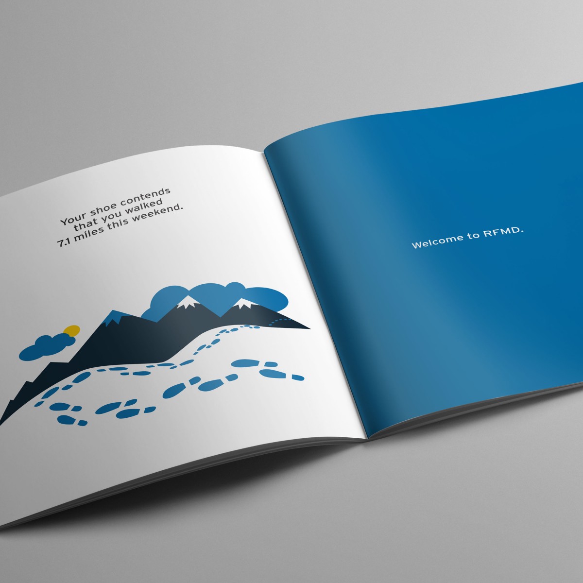 RFMD corporate brochure interior 1